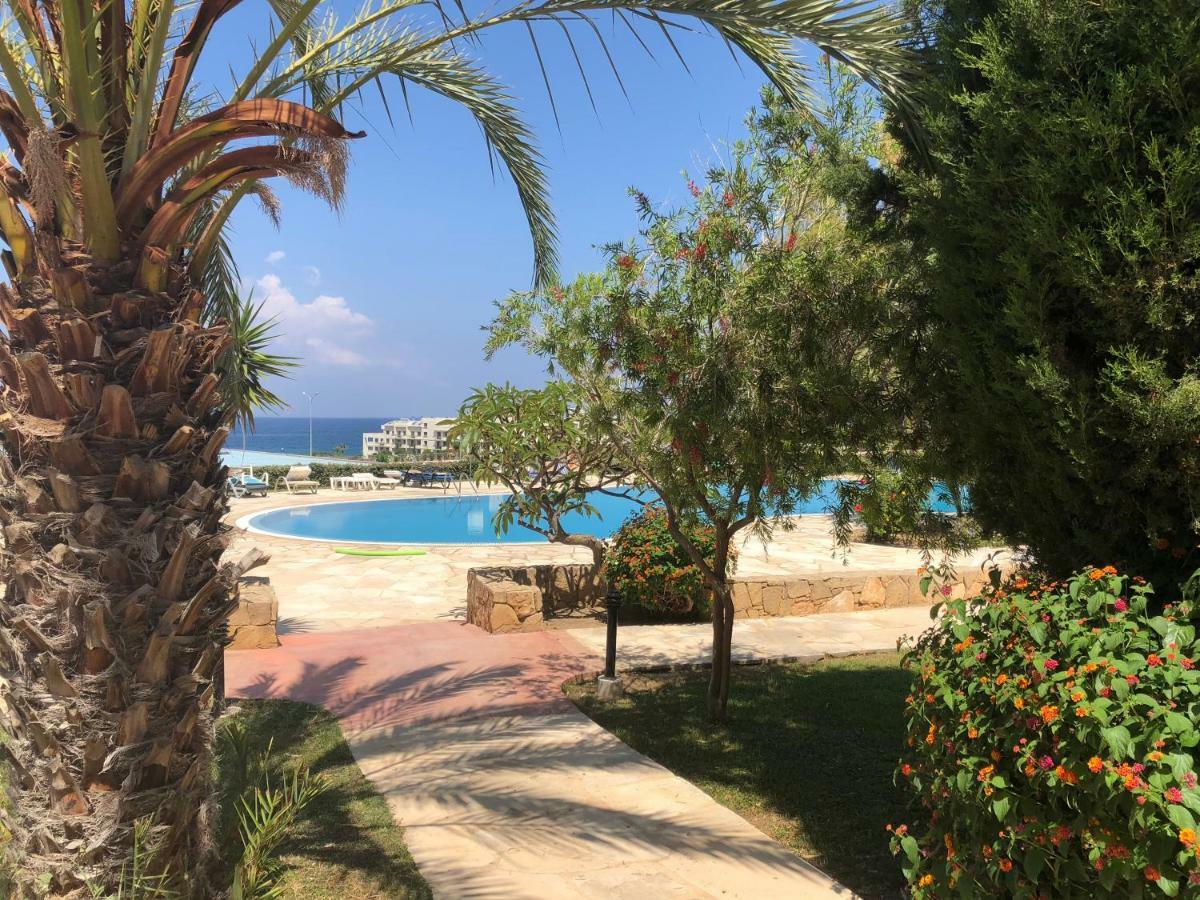 Modern, pool-side 2 bedroomed apartment Paphos Buitenkant foto