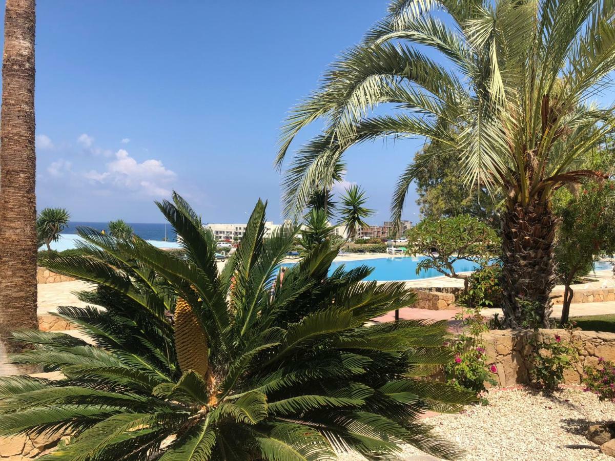 Modern, pool-side 2 bedroomed apartment Paphos Buitenkant foto